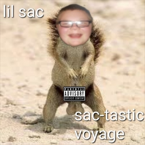 Sac-tastic Voyage